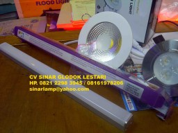 Lampu LED 6 Watt Dimmable